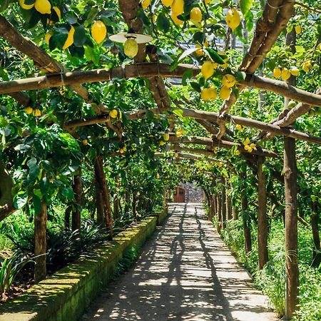 Agriturismo Il Giardino Di Vigliano Масса-Лубренсе Экстерьер фото