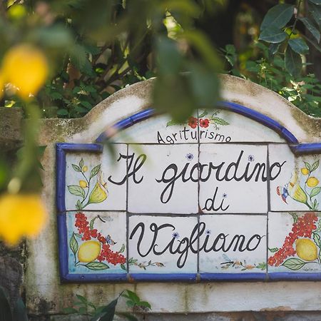 Agriturismo Il Giardino Di Vigliano Масса-Лубренсе Экстерьер фото