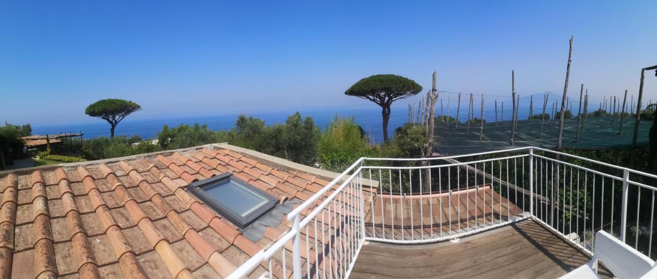 Agriturismo Il Giardino Di Vigliano Масса-Лубренсе Экстерьер фото