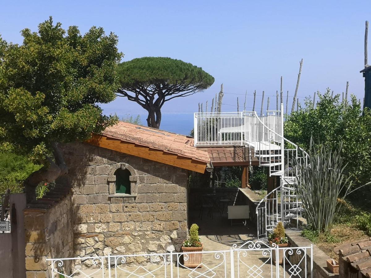 Agriturismo Il Giardino Di Vigliano Масса-Лубренсе Экстерьер фото