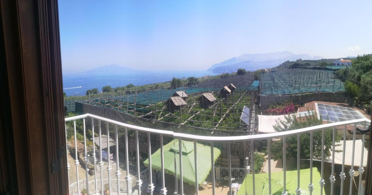 Agriturismo Il Giardino Di Vigliano Масса-Лубренсе Экстерьер фото