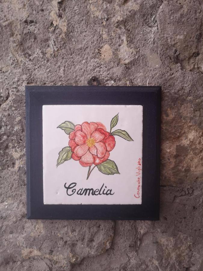 Agriturismo Il Giardino Di Vigliano Масса-Лубренсе Экстерьер фото