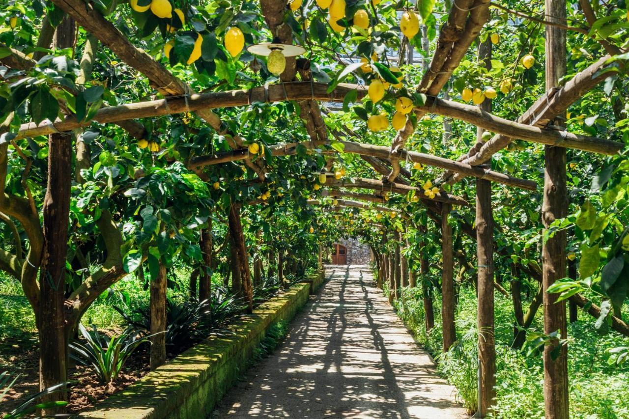Agriturismo Il Giardino Di Vigliano Масса-Лубренсе Экстерьер фото